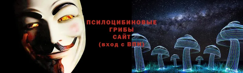 Галлюциногенные грибы Psilocybe  Вязьма 